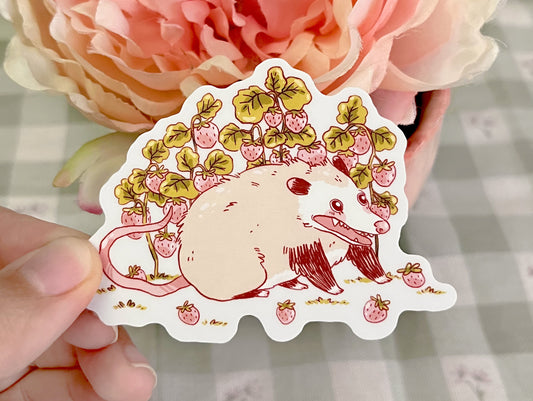 POSSUM STRAWBERRIES STICKER