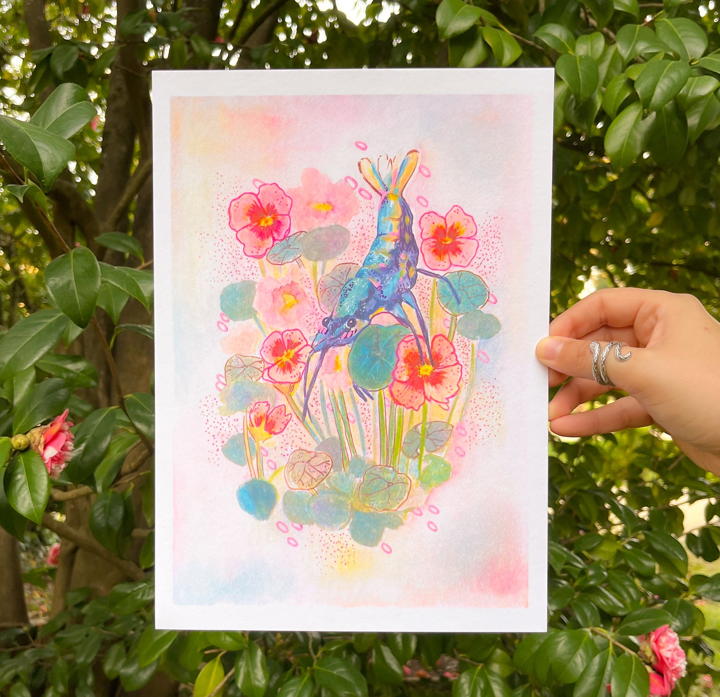 BLUE SHRIMP | RISO PRINT