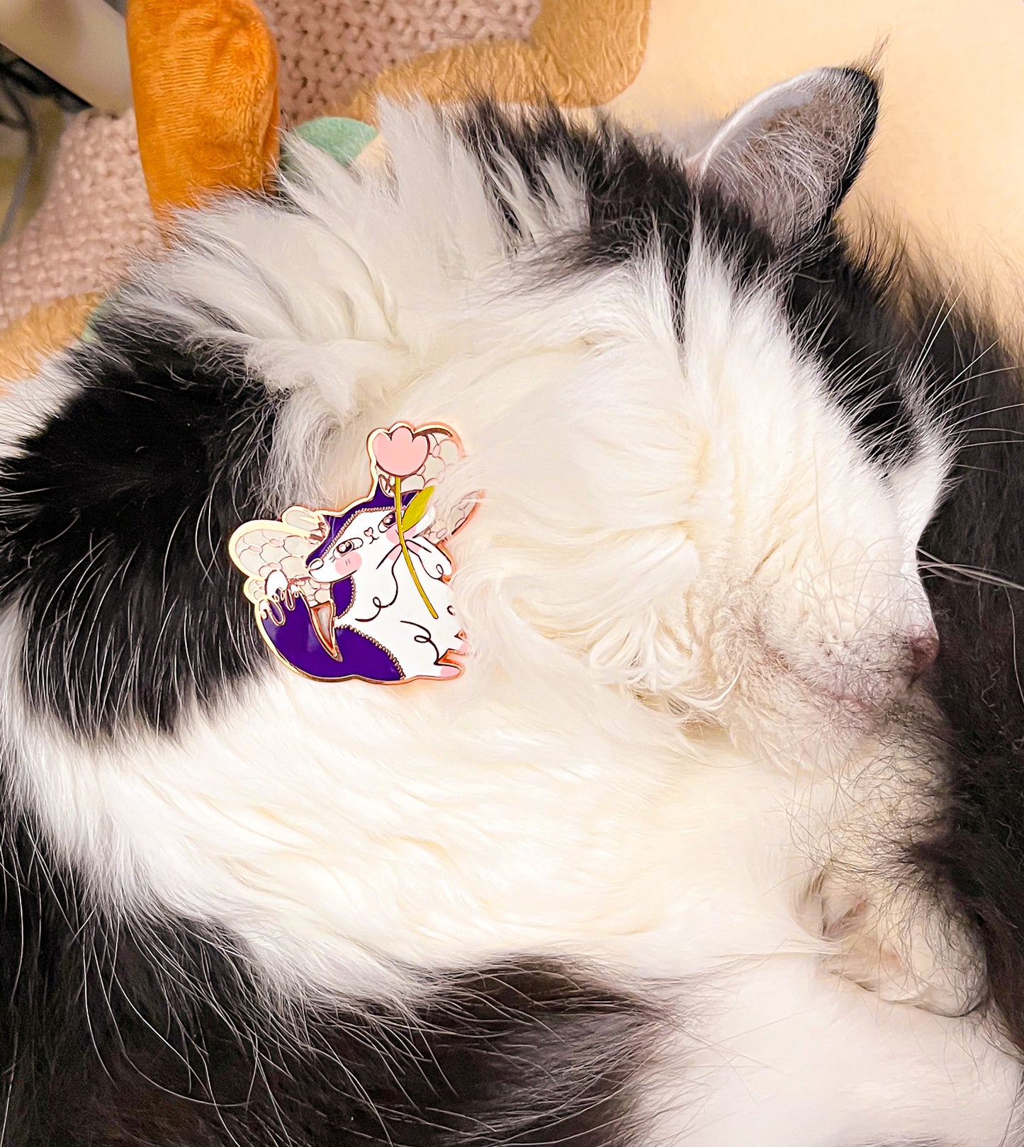 USHI FAIRY